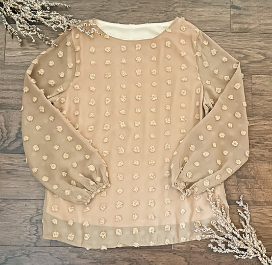 Brown Swiss Dot Blouse