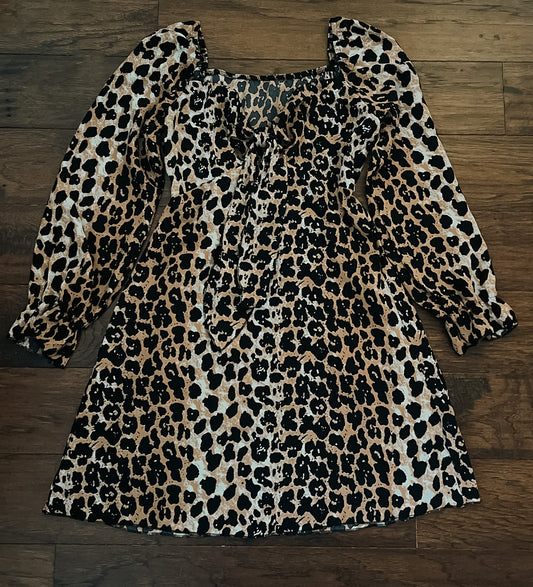 Ruched Leopard Dress