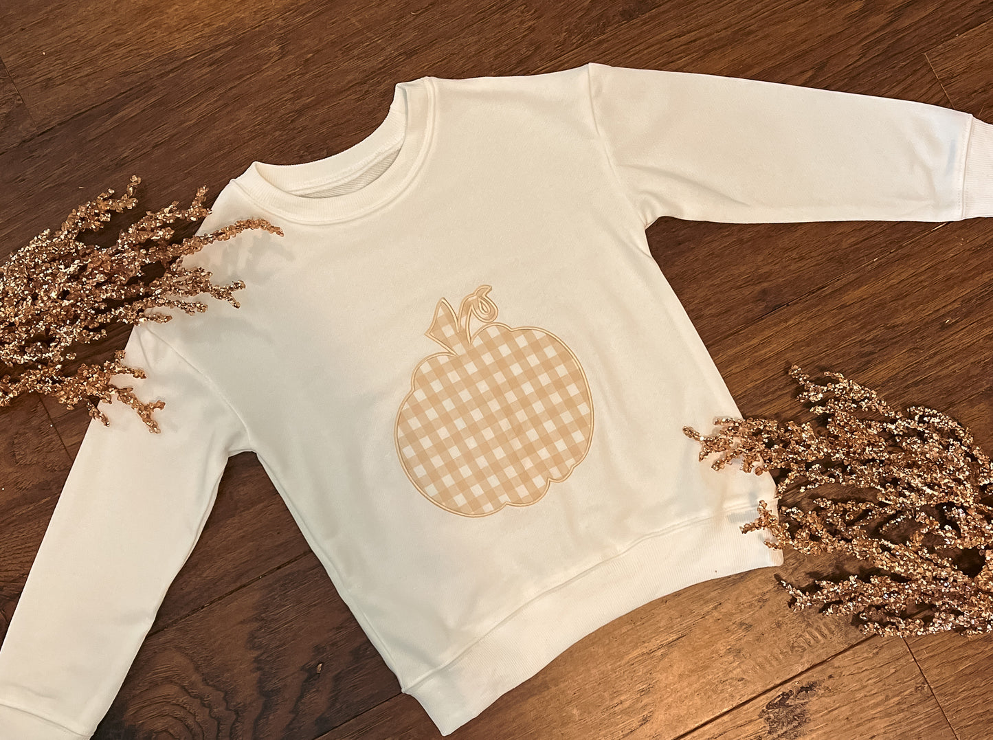 Cozy Pumpkin Mini Sweatshirt